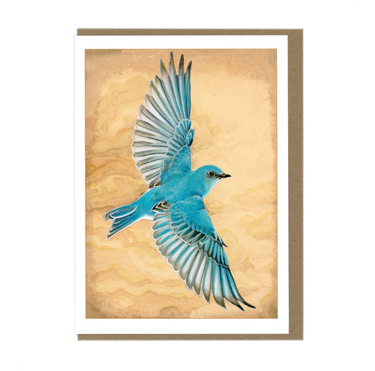 Mountain Bluebird - Greeting Card