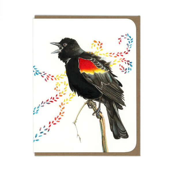 Red-winged Blackbird Card - Wholesale