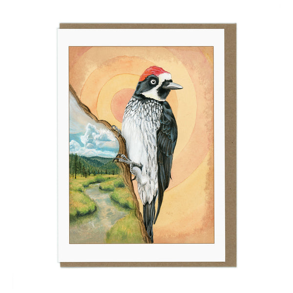 Acorn Woodpecker Card - Wholesale