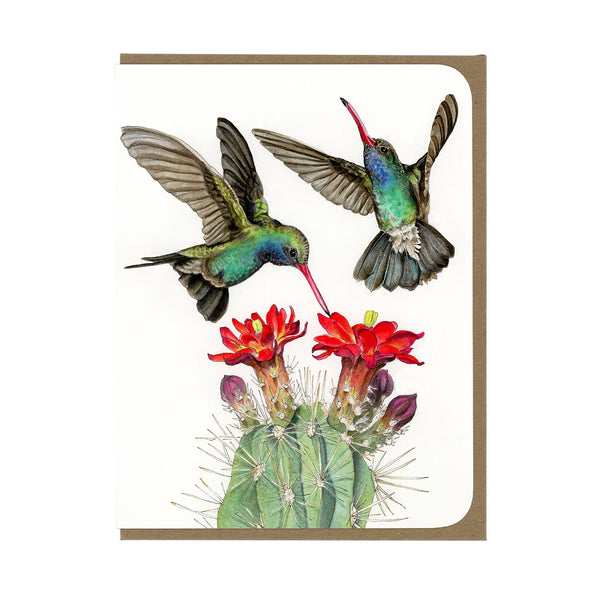 Broad-billed Hummingbirds and Cactus Card - Wholesale