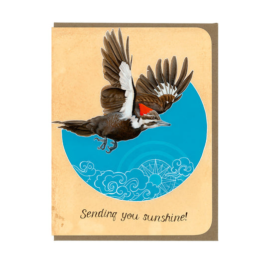 Encouragement - Pileated Woodpecker - Greeting Card