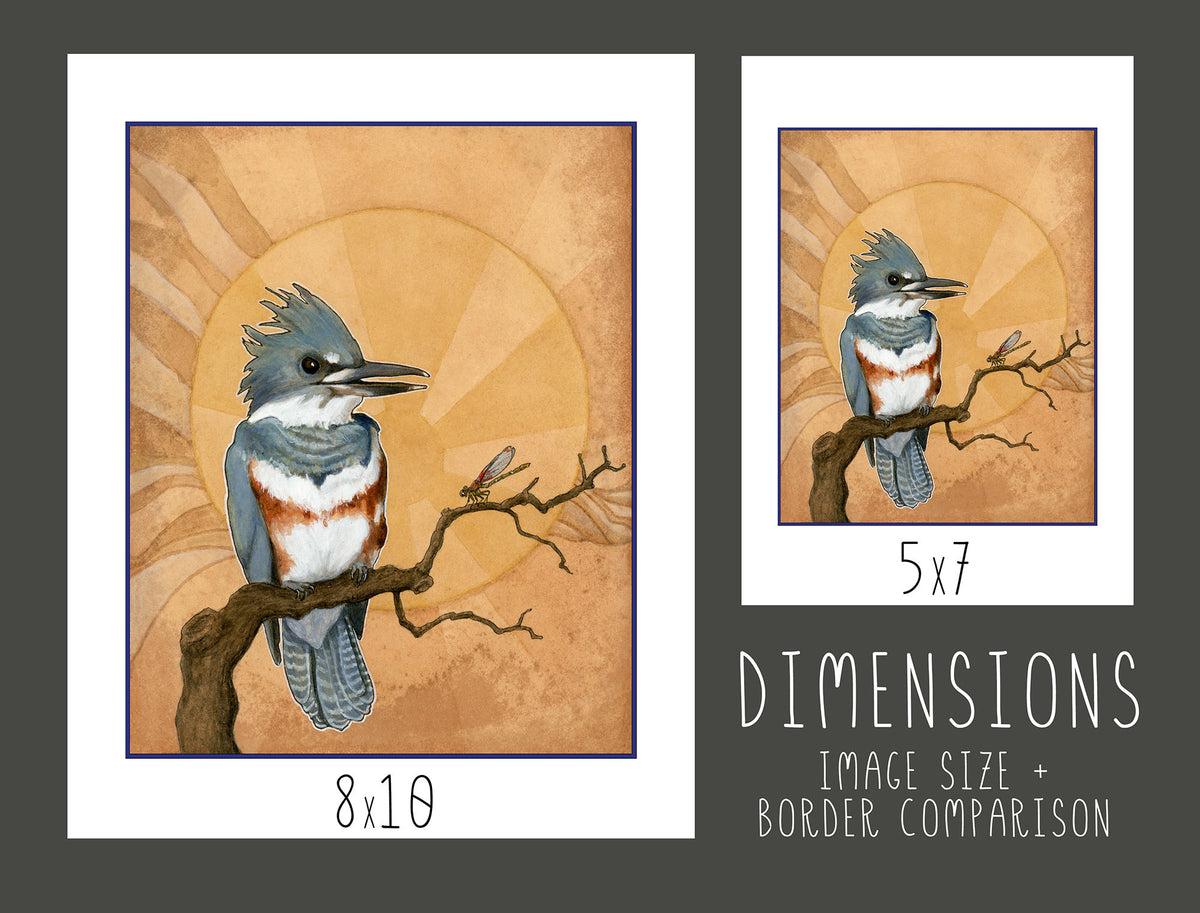 Belted Kingfisher Print