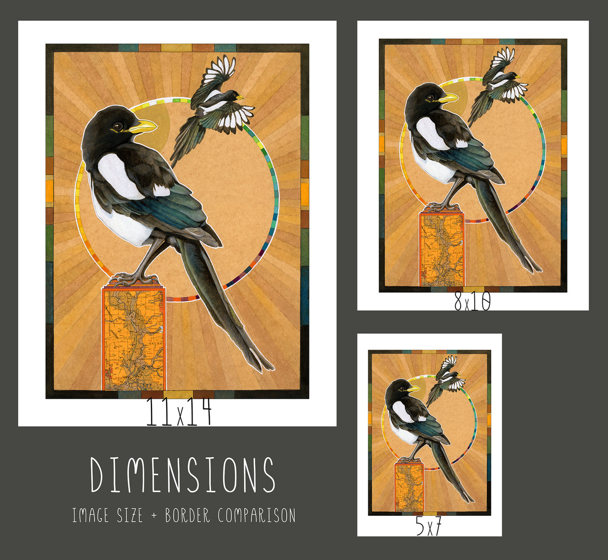 Yellow-billed Magpie Print