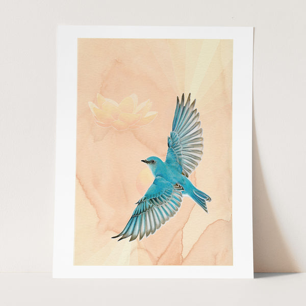 Mountain Bluebird Version #2 Print