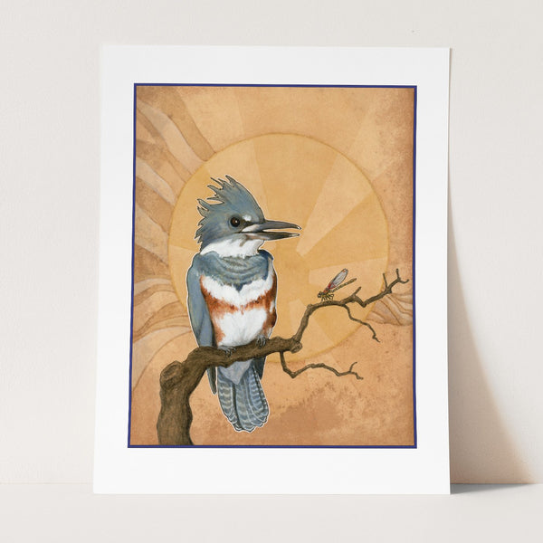 Belted Kingfisher Print - Wholesale