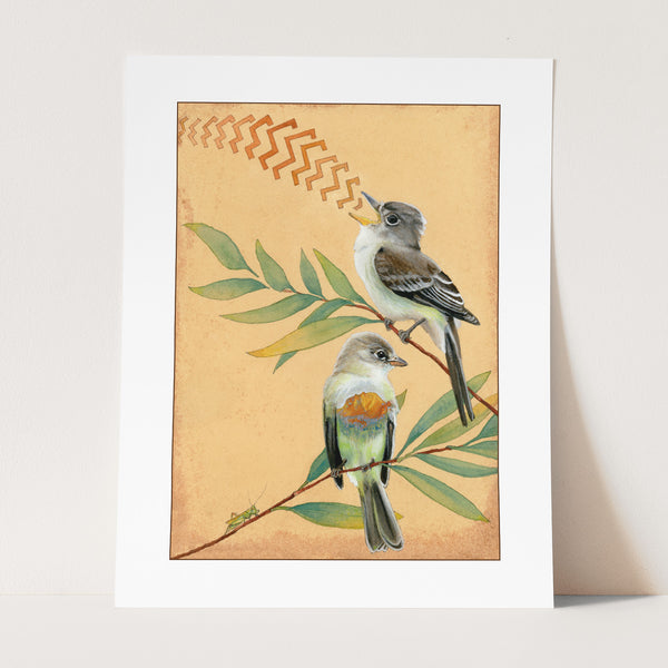 Willow Flycatchers Print