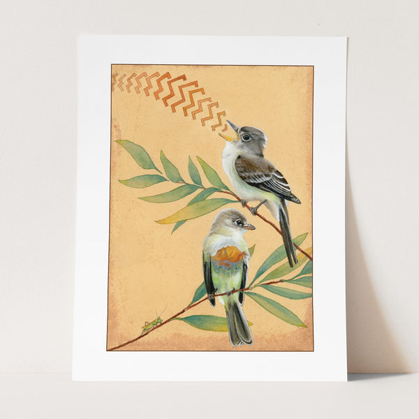 Willow Flycatchers Print - Wholesale