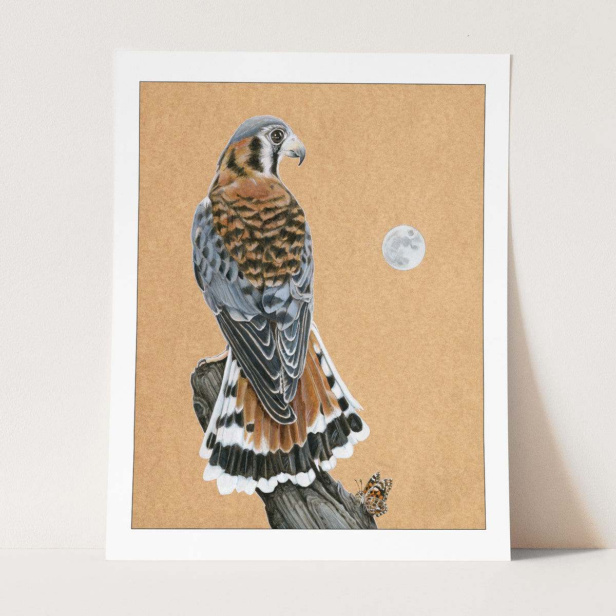 American Kestrel Print – Amy Rose Moore