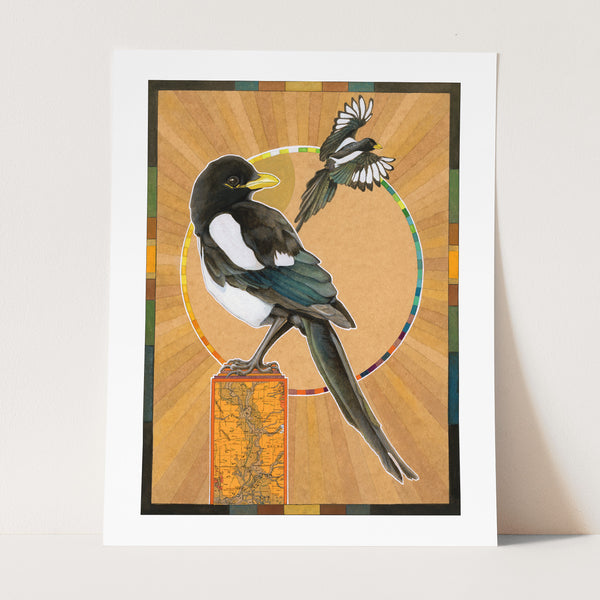 Yellow-billed Magpie Print
