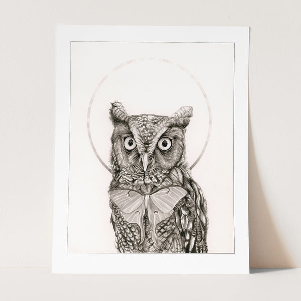 Eastern Screech Owl and Luna Moth Print