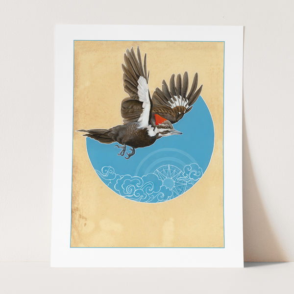 Pileated Woodpecker Print