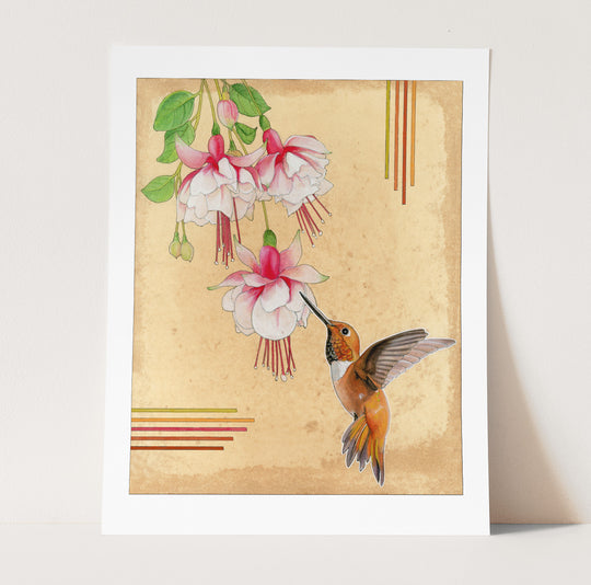 Rufous Hummingbird Print