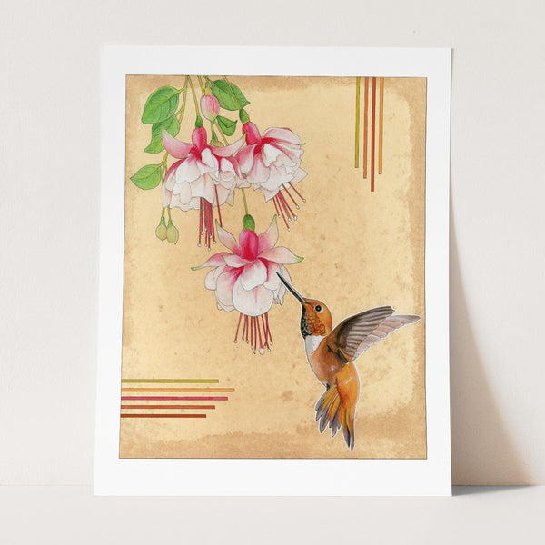 Rufous Hummingbird Print - Wholesale