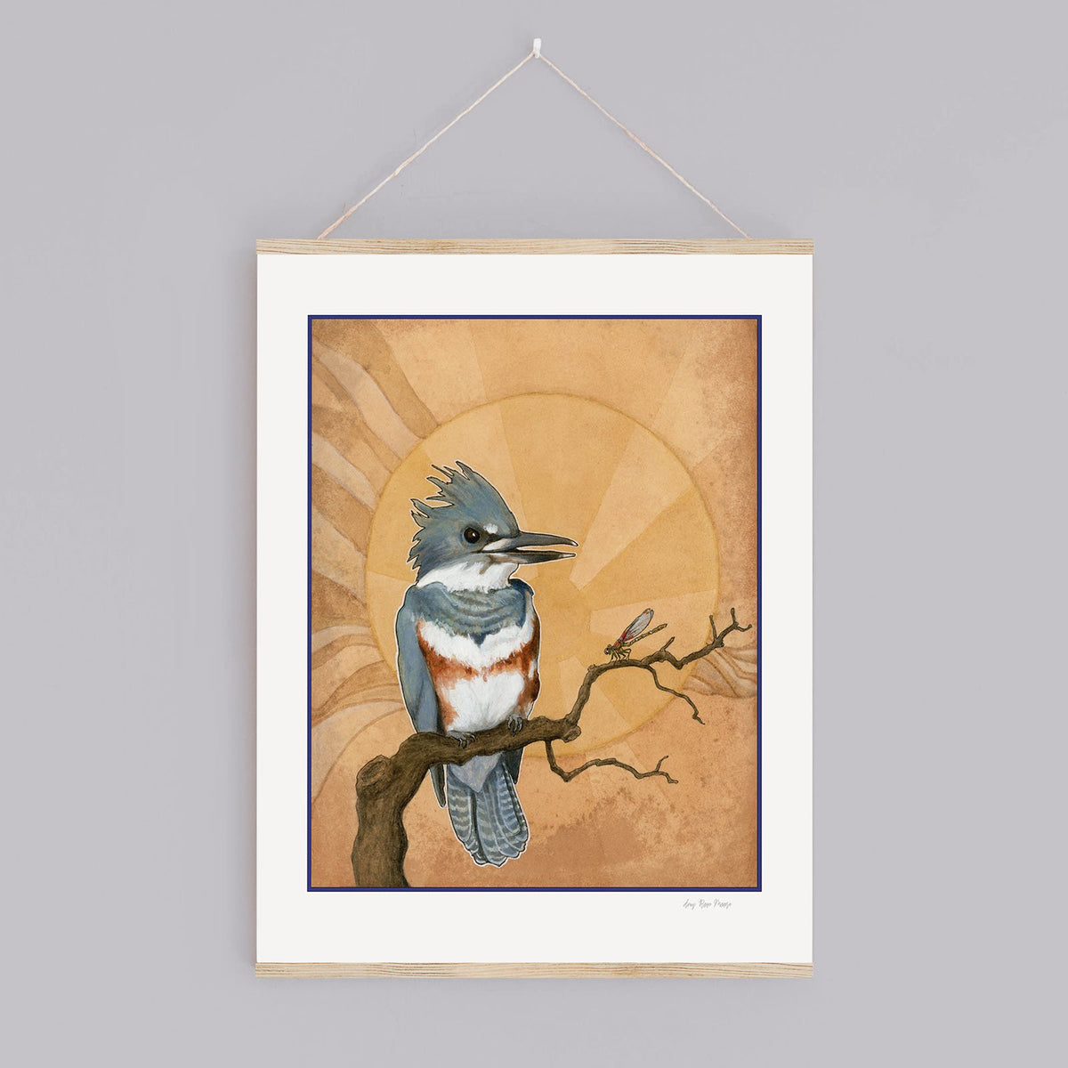Belted Kingfisher Print - Wholesale