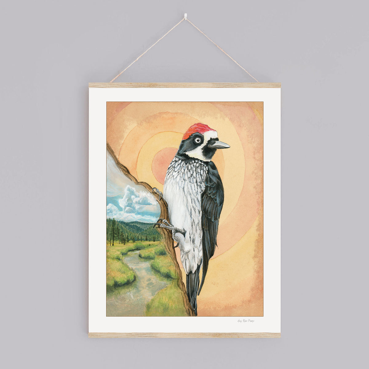 Acorn Woodpecker Print