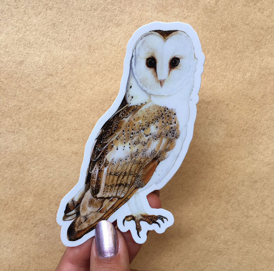 Barn Owl - Sticker