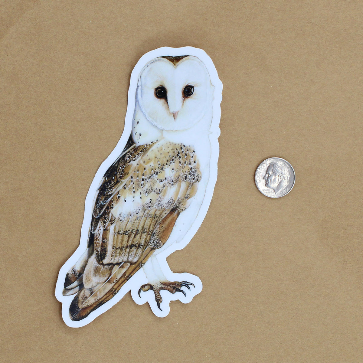 Barn Owl Sticker - Wholesale
