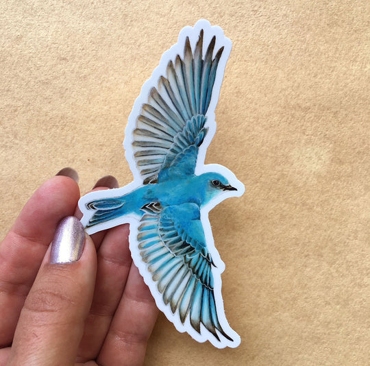 Mountain Bluebird - Sticker