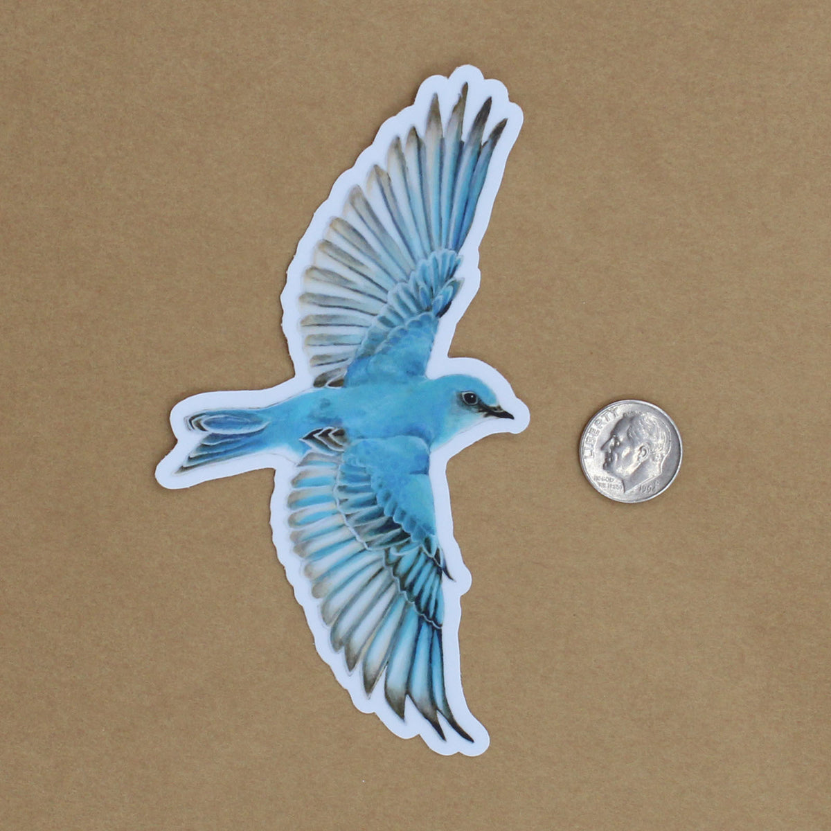 Mountain Bluebird - Sticker – Amy Rose Moore