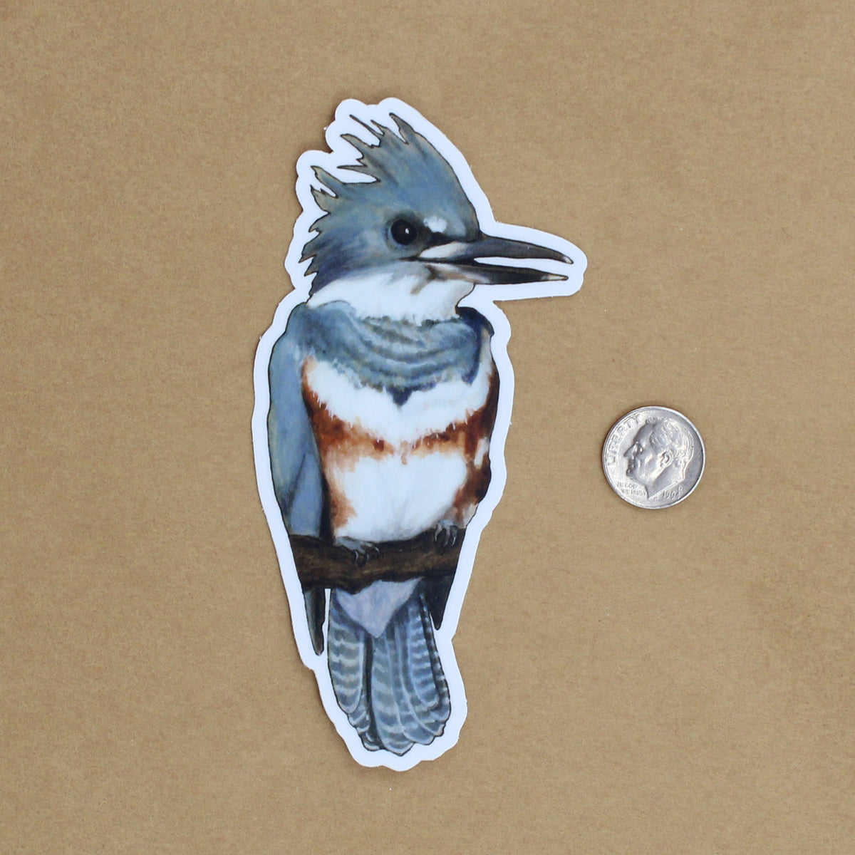 Belted Kingfisher Sticker - Wholesale
