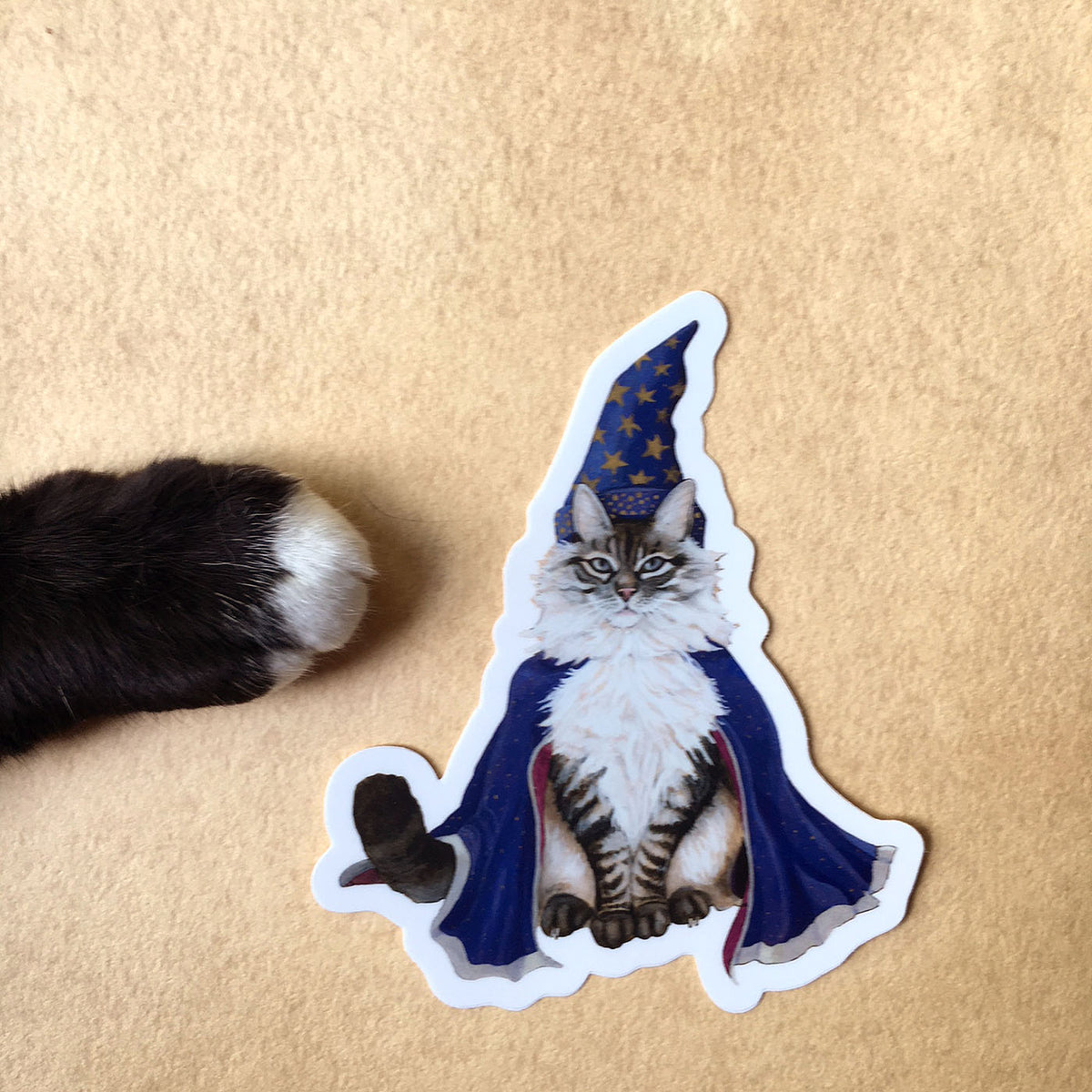 Wizard Cat - Sticker