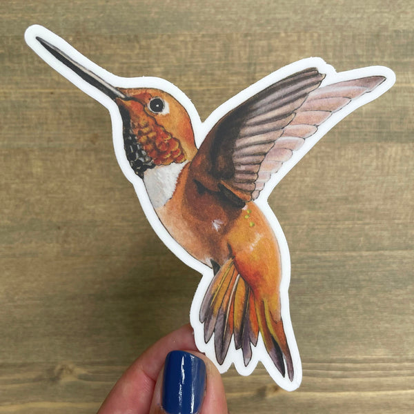 Rufous Hummingbird Sticker - Wholesale