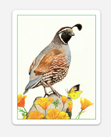 Quail and Poppies - Sticker