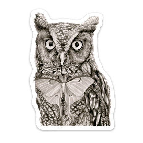 Eastern Screech Owl - Sticker