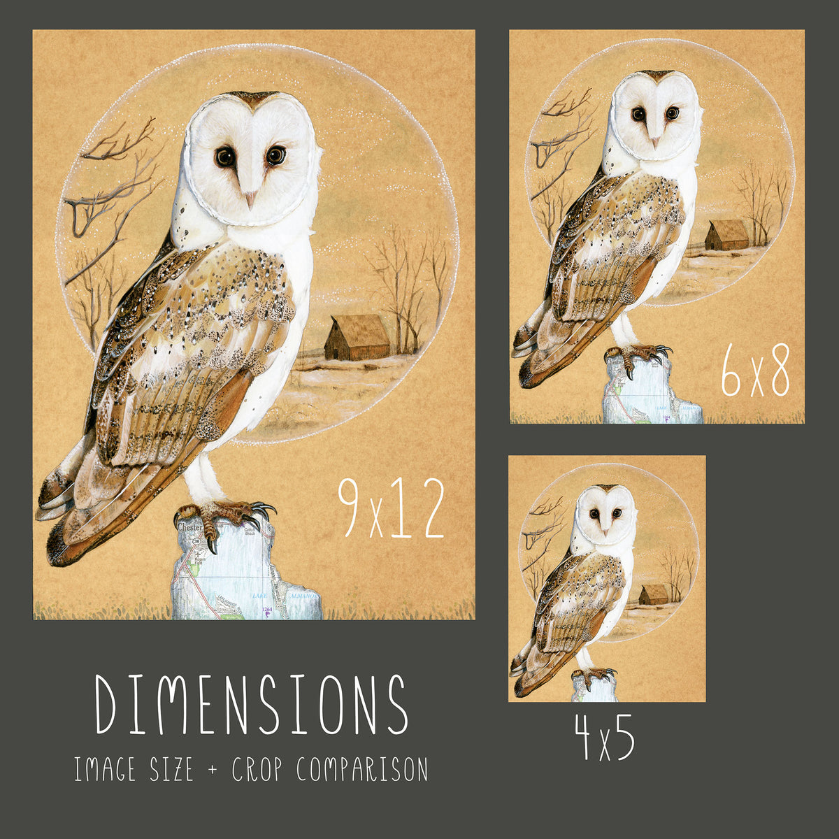 Barn Owl - Wood Panel Print