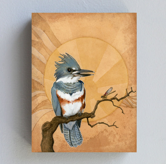 Belted Kingfisher - Wood Panel Print