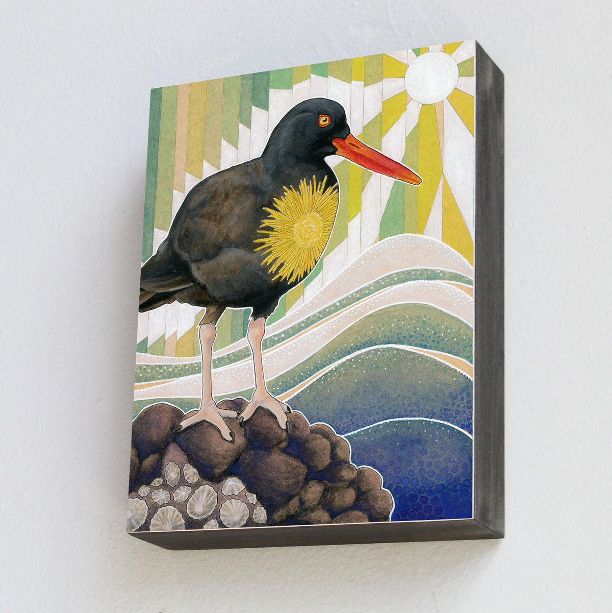 Black Oystercatcher - Wood Panel Print