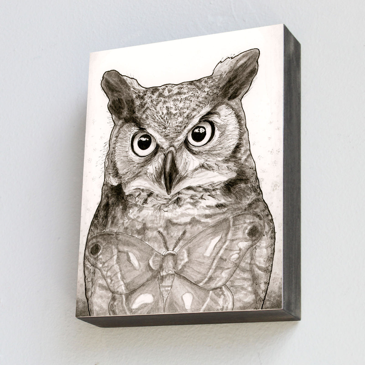 Great Horned Owl and Moth - Wood Panel Print