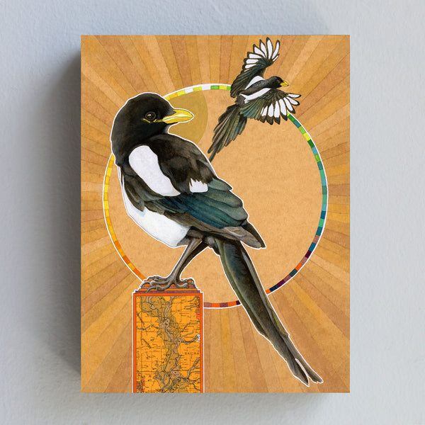 Yellow-billed Magpie - Wood Panel Print