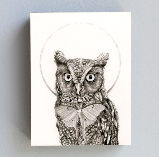 Eastern Screech Owl and Luna Moth - Wood Panel Print