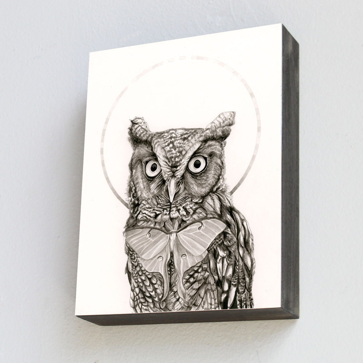 Eastern Screech Owl and Luna Moth - Wood Panel Print