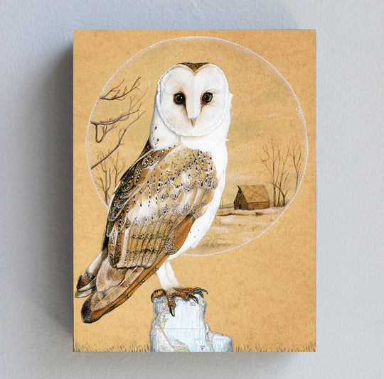 Barn Owl - Wood Panel Print
