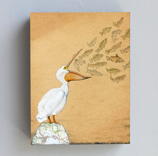White Pelican and Fish - Wood Panel Print