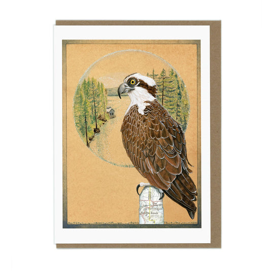 Osprey - Greeting Card