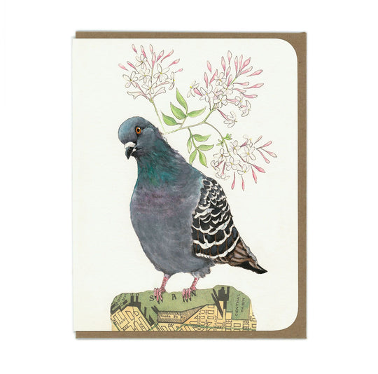 Pigeon - Greeting Card