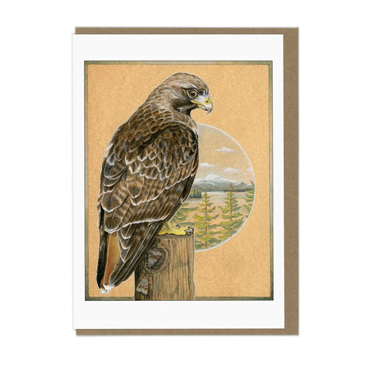 Red-Tailed Hawk - Greeting Card
