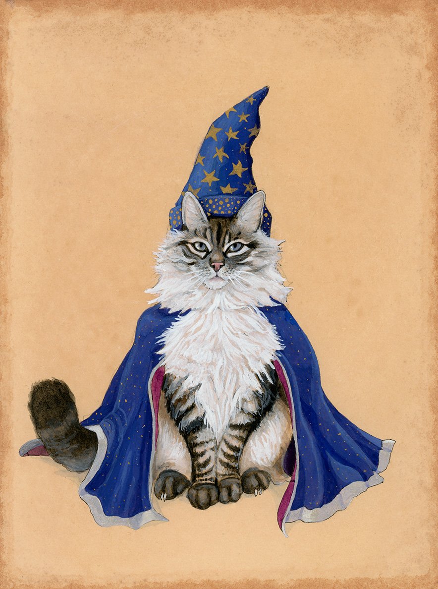 Wizard Cat Print - Wholesale
