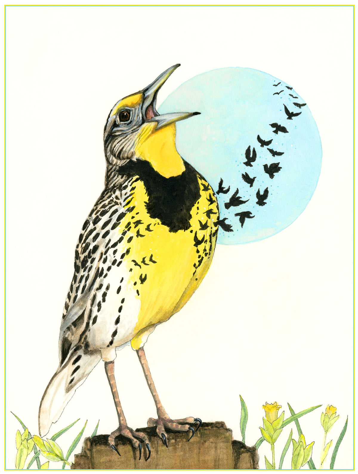 Western Meadowlark Print