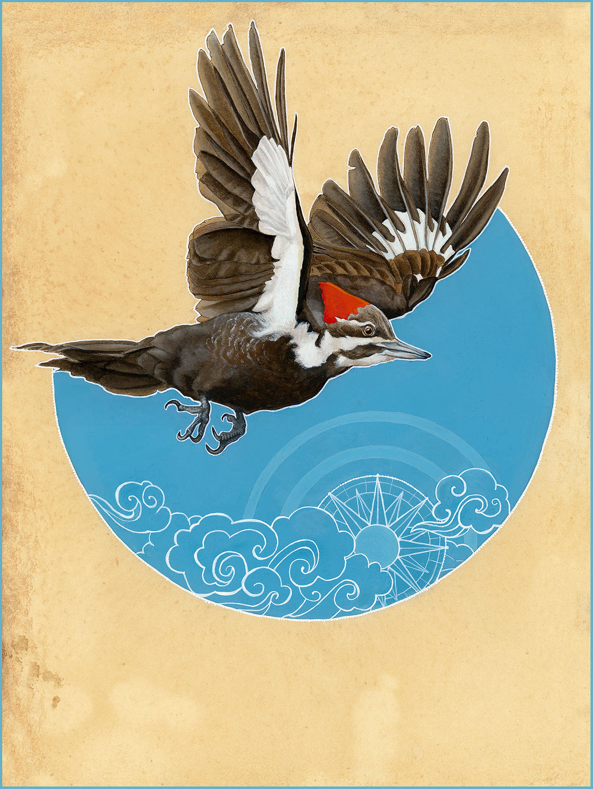 Pileated Woodpecker Print
